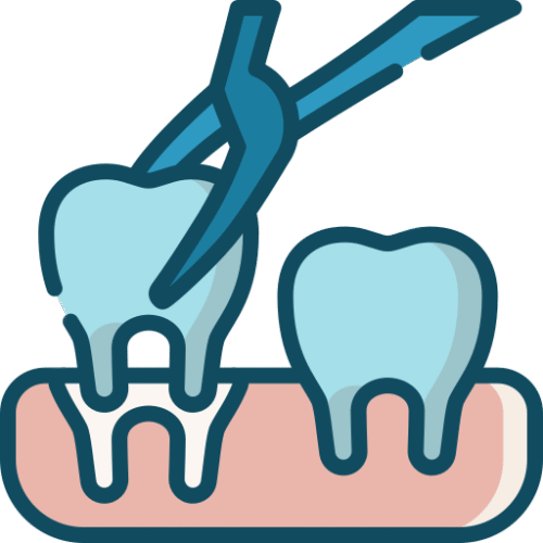tooth vector