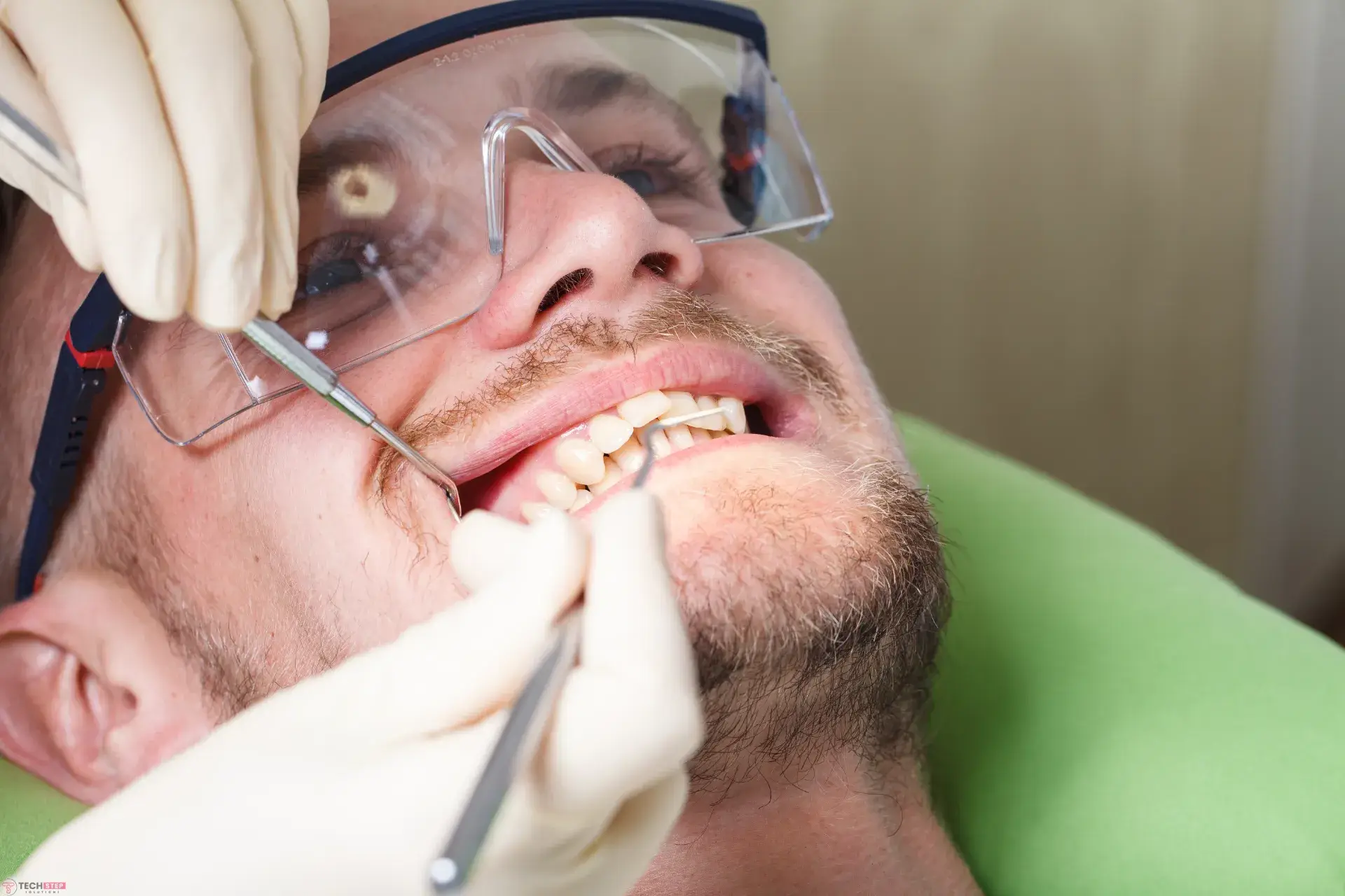 best dentist in magnolia