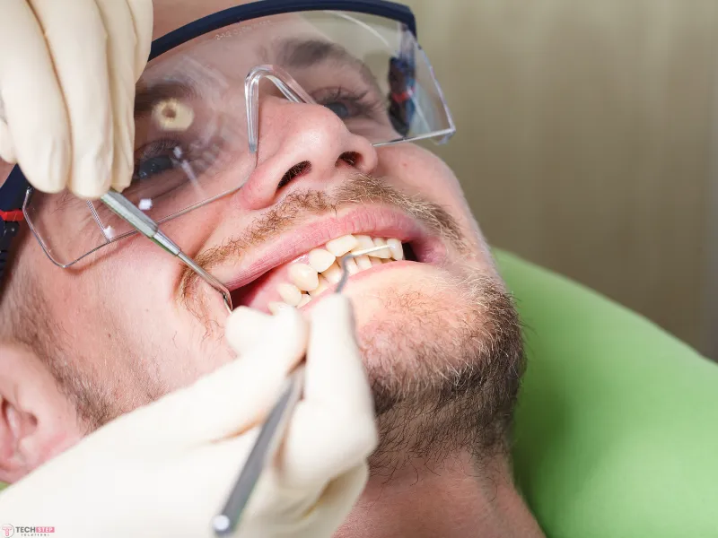 dentist timing near magnolia tx